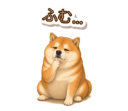 846043145