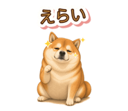 846043146