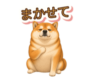 846043150