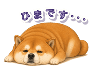 846043152