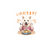 846043511