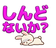 846043750