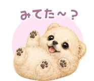 846043778