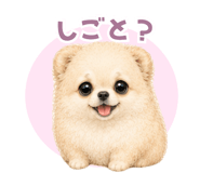 846043781
