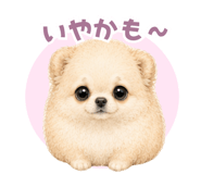 846043785