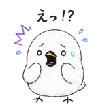 846044021