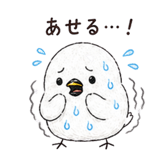 846044025