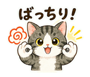 846044714