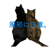 846051811