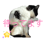 846051813