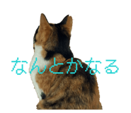 846051816