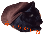 846052141