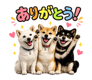 846052387