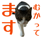 846052405