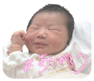 846052731
