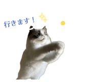 846052746