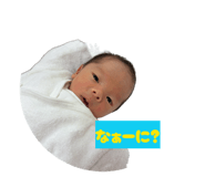 846052966