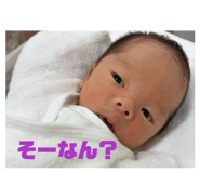 846052977