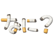 846054854