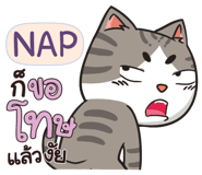 846058061