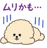 846063185
