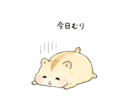 846065041