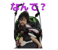 846071145