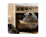 846071227