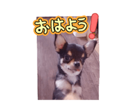 846071490