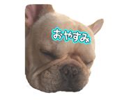 846072782