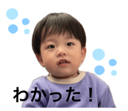 846072933