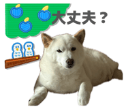 846073493