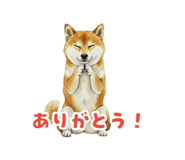 846073785