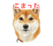 846073786