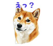 846073787