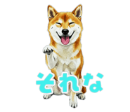 846073789