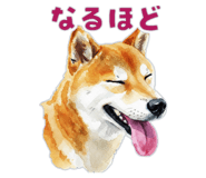 846073790