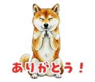846073791