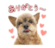 846074023
