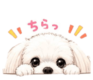 846076239