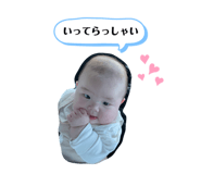 846076379