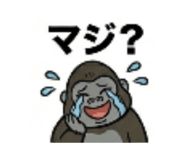 846076496