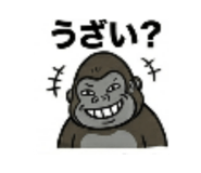846076497