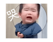 846076804
