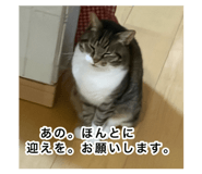 846076857