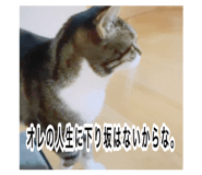 846076858