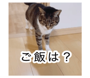 846076860