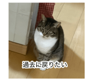 846076864