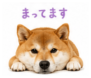 846077079
