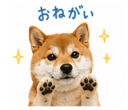 846077083